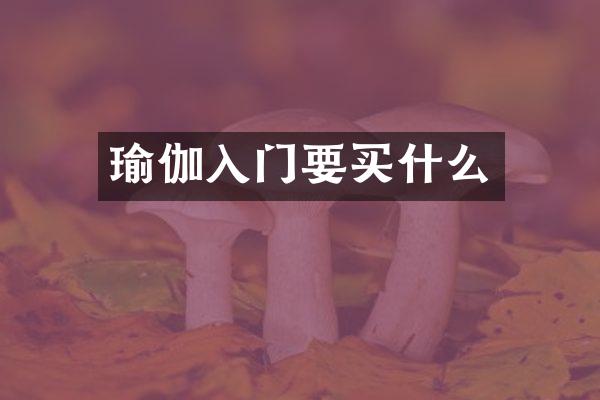 瑜伽入门要买什么