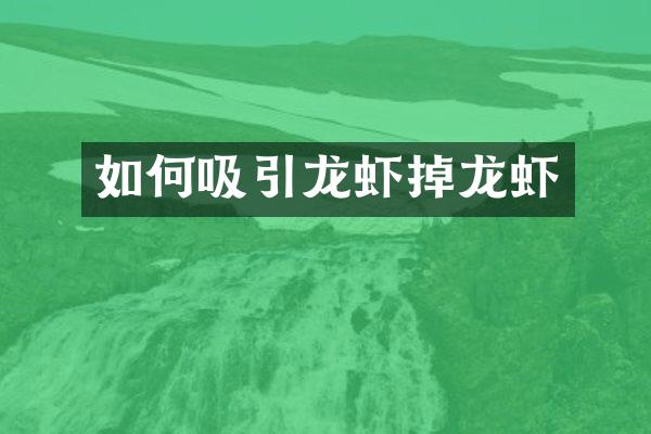 如何吸引龙虾掉龙虾