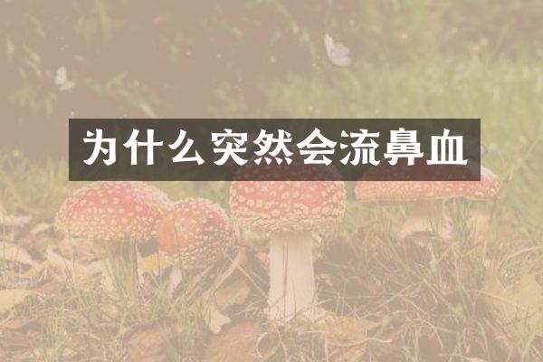 为什么突然会流鼻血