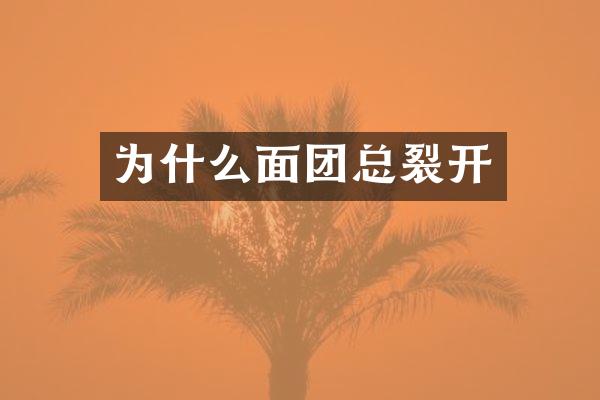 为什么面团总裂开