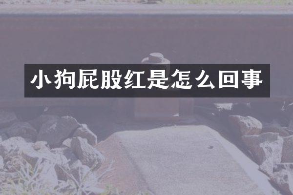 小狗屁股红是怎么回事