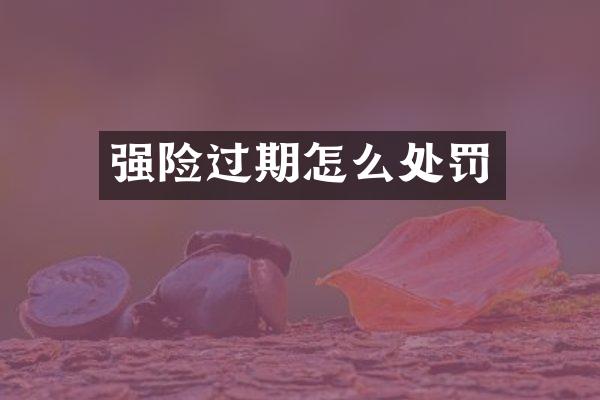 强险过期怎么处罚