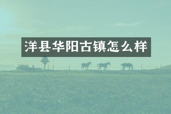 洋县华阳古镇怎么样