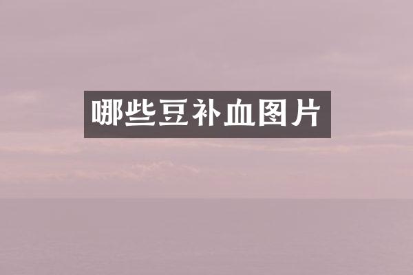 哪些豆补血图片