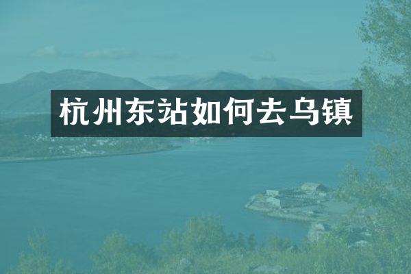 杭州东站如何去乌镇