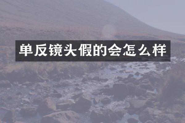 单反镜头假的会怎么样