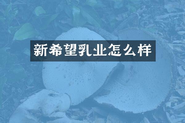新希望乳业怎么样