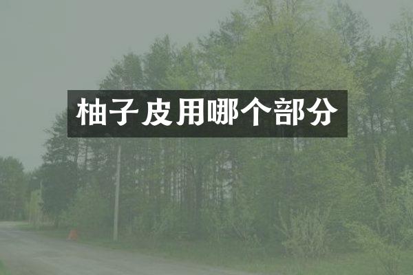 柚子皮用哪个部分