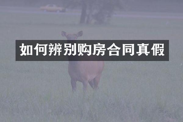 如何辨别购房合同真假