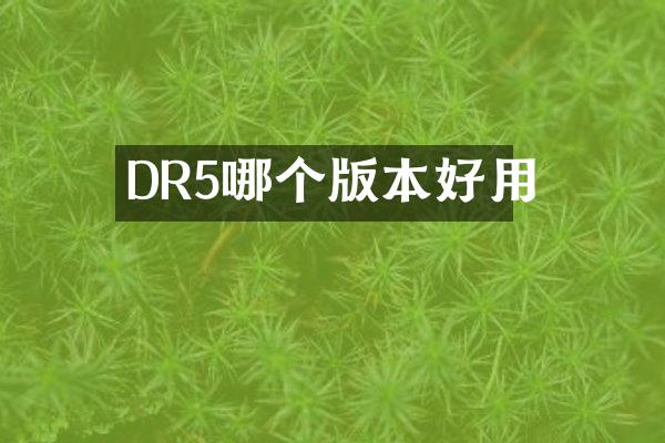 DR5哪个版本好用