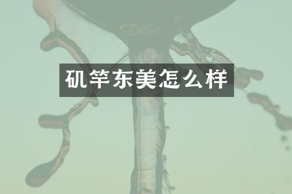 矶竿东美怎么样