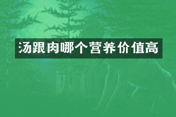 汤跟肉哪个营养价值高