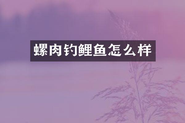 螺肉钓鲤鱼怎么样