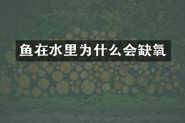 鱼在水里为什么会缺氧