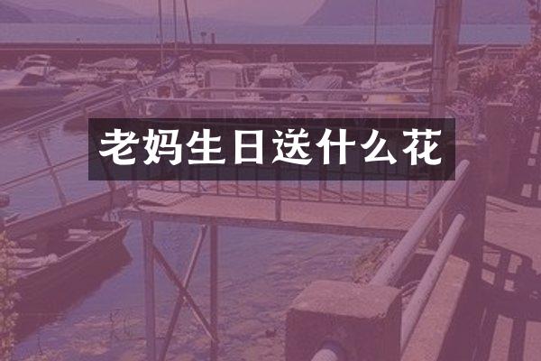 老妈生日送什么花