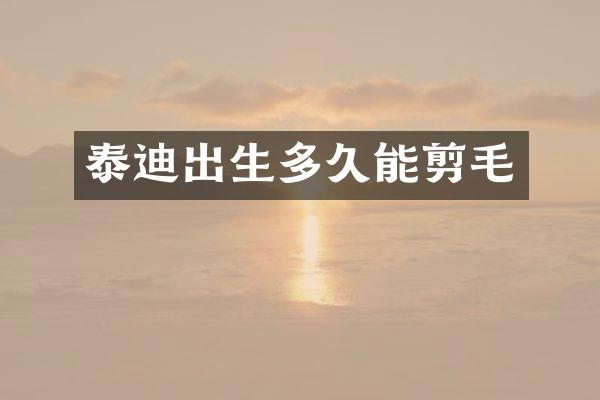 泰迪出生多久能剪毛