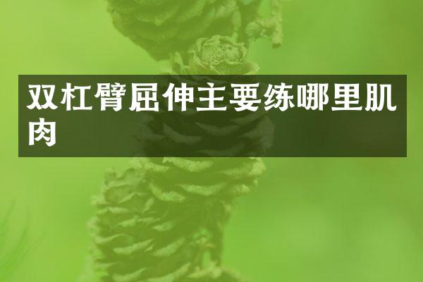 双杠臂屈伸主哪里肌肉