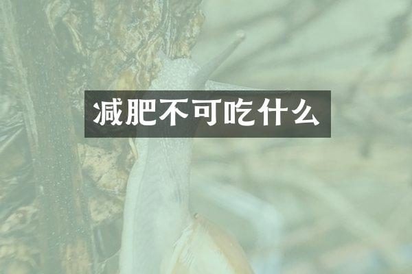 减肥不可吃什么