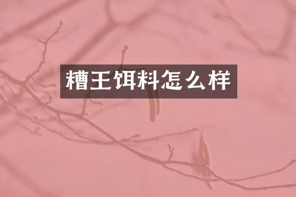 糟王饵料怎么样