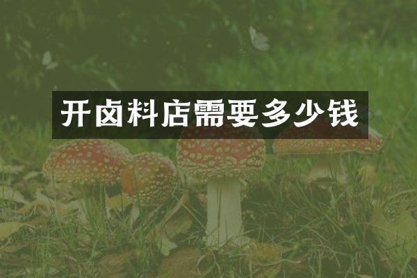 开卤料店需要多少钱