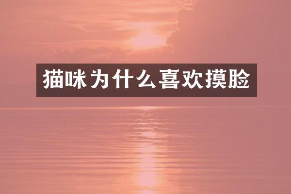 猫咪为什么喜欢摸脸