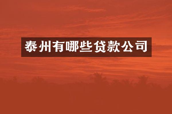 泰州有哪些贷款公司