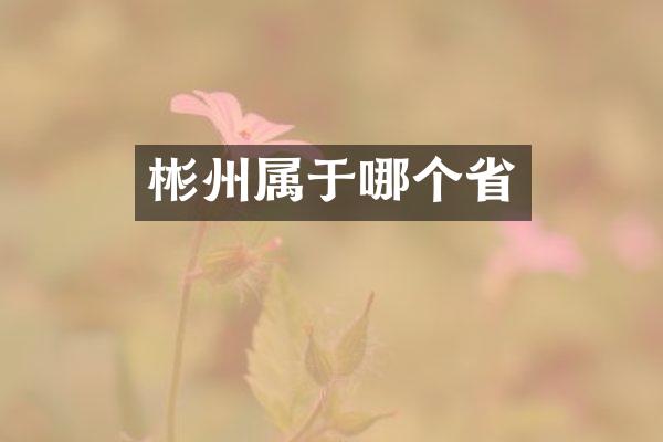 彬州属于哪个省