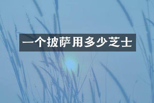 一个披萨用多少芝士