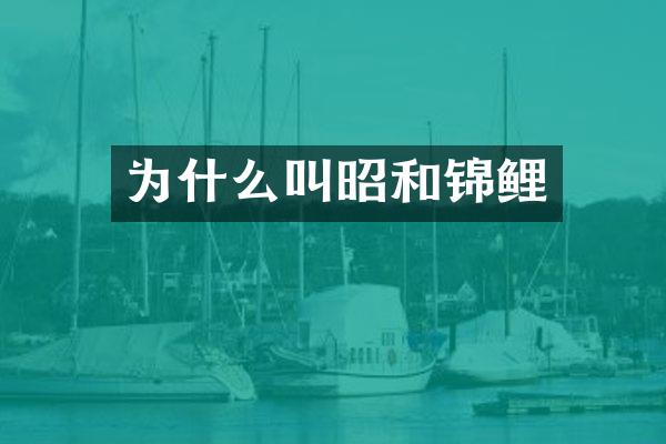 为什么叫昭和锦鲤