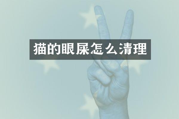 猫的眼屎怎么清理