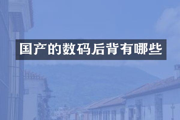 国产的数码后背有哪些