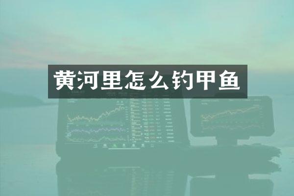 黄河里怎么钓甲鱼