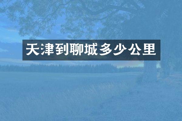 天津到聊城多少公里