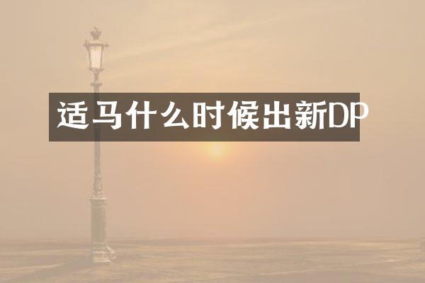 适马什么时候出新DP