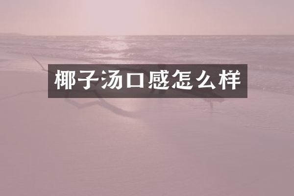 椰子汤口感怎么样