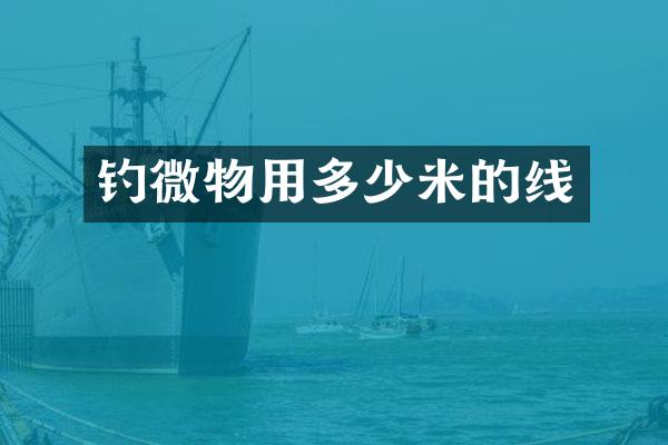 钓微物用多少米的线