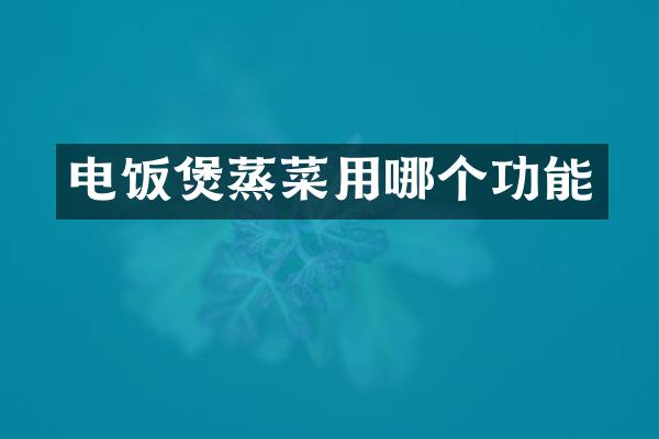 电饭煲蒸菜用哪个功能