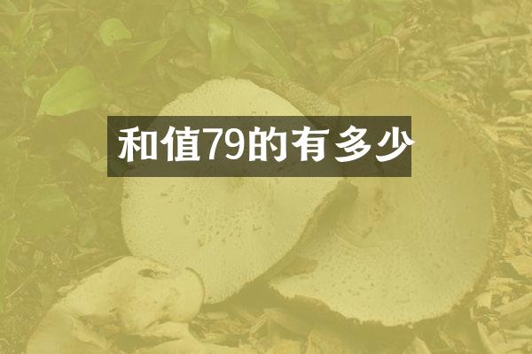 和值79的有多少