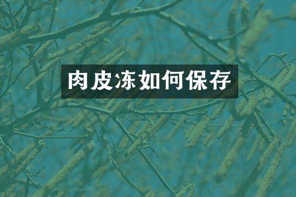 肉皮冻如何保存