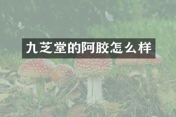 九芝堂的阿胶怎么样