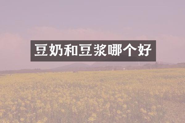 豆奶和豆浆哪个好