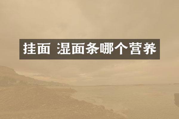 挂面 湿面条哪个营养
