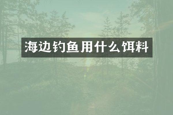 海边钓鱼用什么饵料
