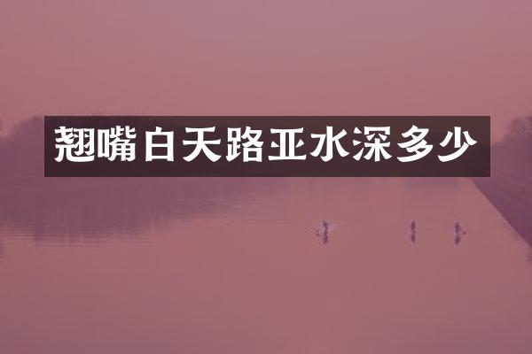 翘嘴白天路亚水深多少