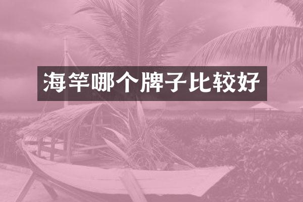 海竿哪个牌子比较好
