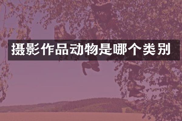 摄影作品动物是哪个类别