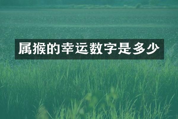 属猴的幸运数字是多少