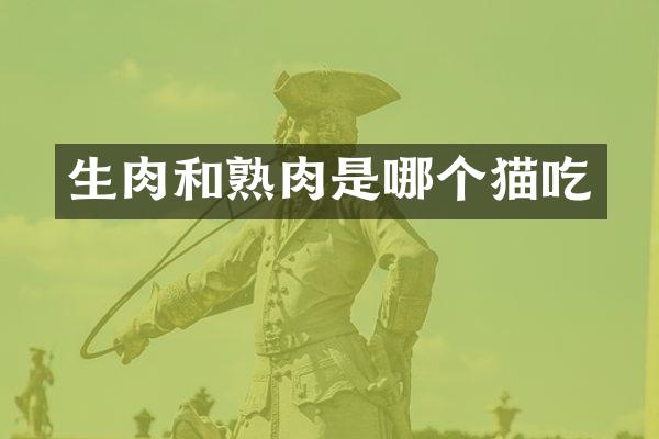 生肉和熟肉是哪个猫吃