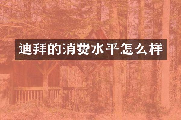 迪拜的消费水平怎么样