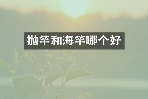 抛竿和海竿哪个好